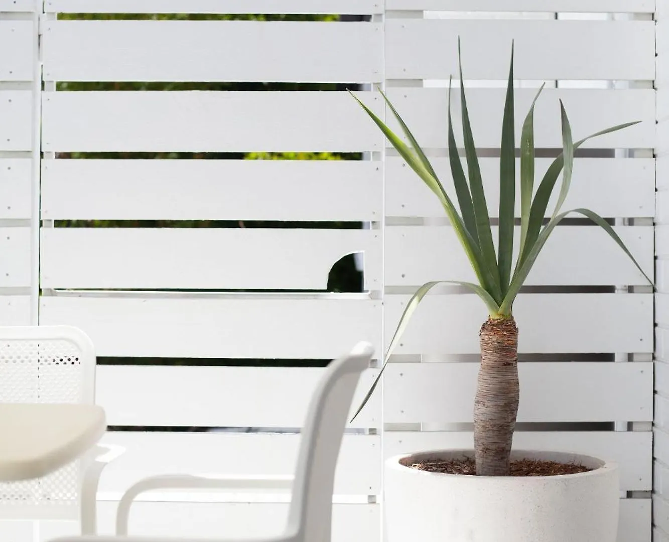Apartment Coco Studio Byron Bay